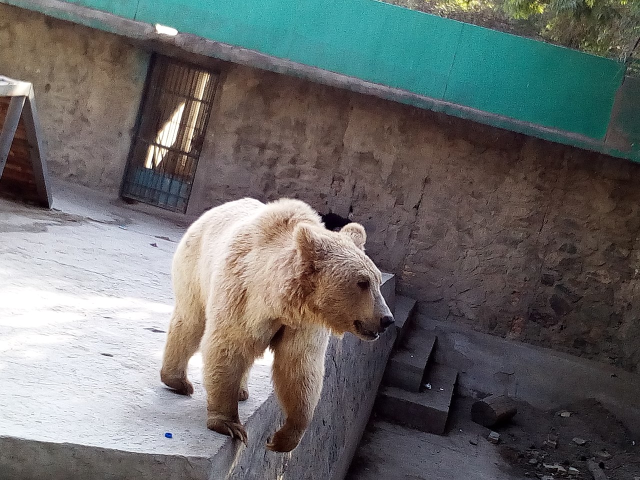 Zoológico de Kabul en Kabul