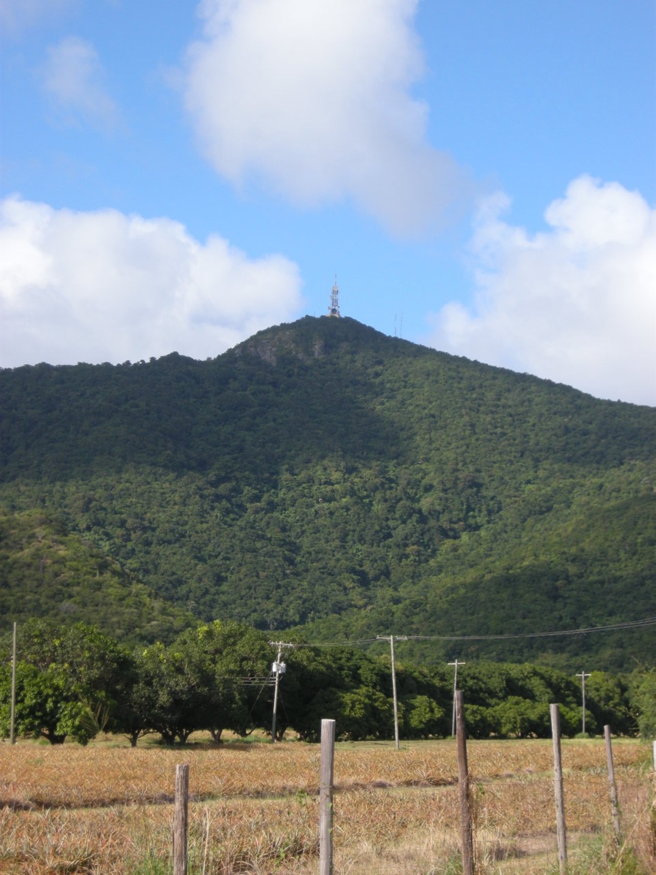 Mount Obama (antes conocido como Boggy Peak) en Saint George