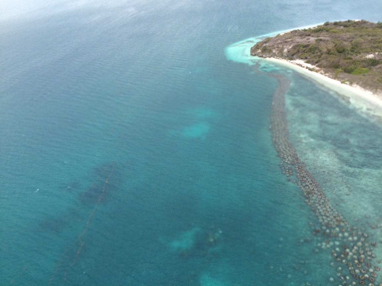 Isla Maiden en Saint Philip