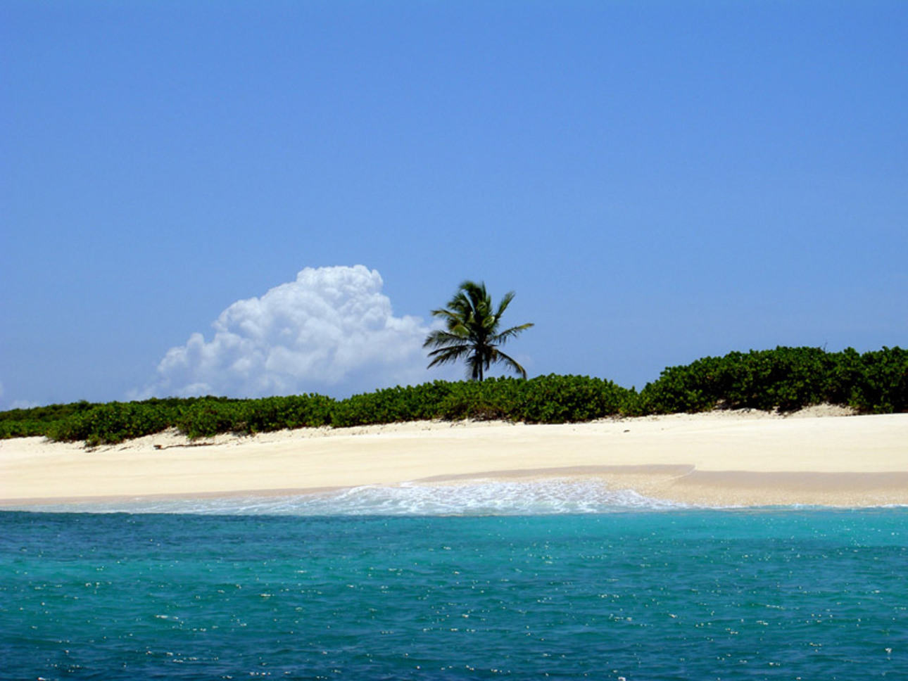 Isla Scrub en Anguilla